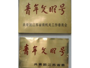 2001年度省級(jí)青年文明號(hào)