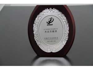 2014中國(guó)汽車流通行業(yè)杰出貢獻(xiàn)獎(jiǎng)