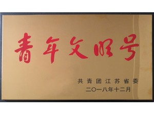2018天泓標(biāo)遠(yuǎn)青年文明號